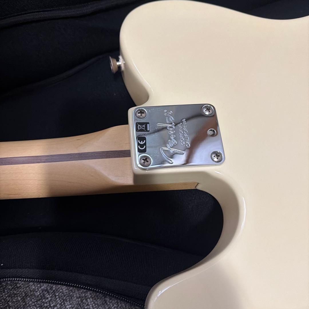 Fender テレキャスター　アメリカンプロ　RW OWT 未使用品