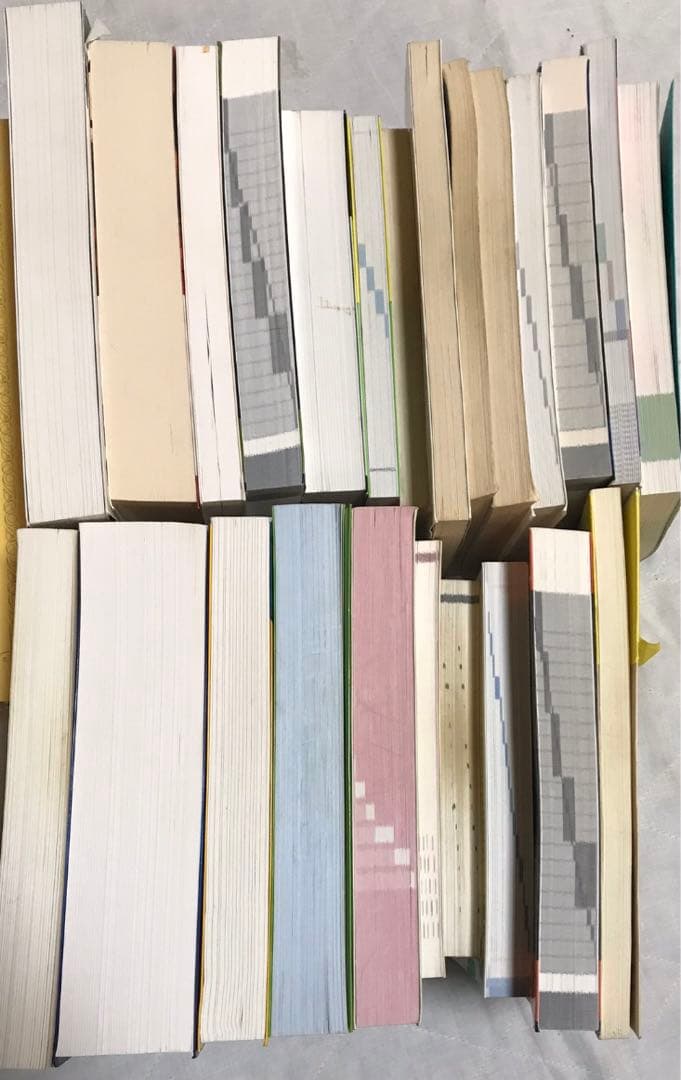 プログラミング言語21冊　　まとめ売り