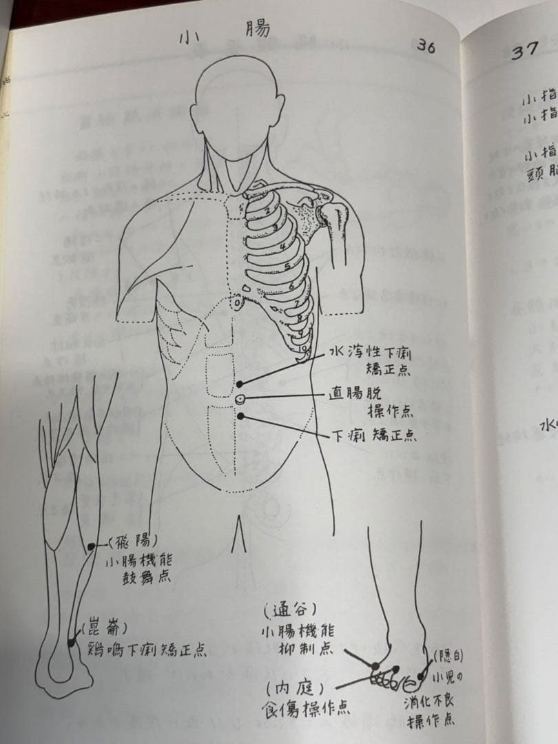合本『消化器のまとめ』