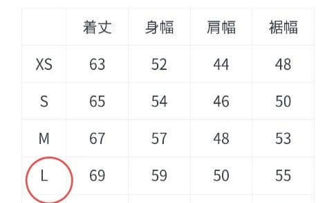 ★専用★✳︎lily✳︎様★ NORTH FACE フリースベスト Lサイズ