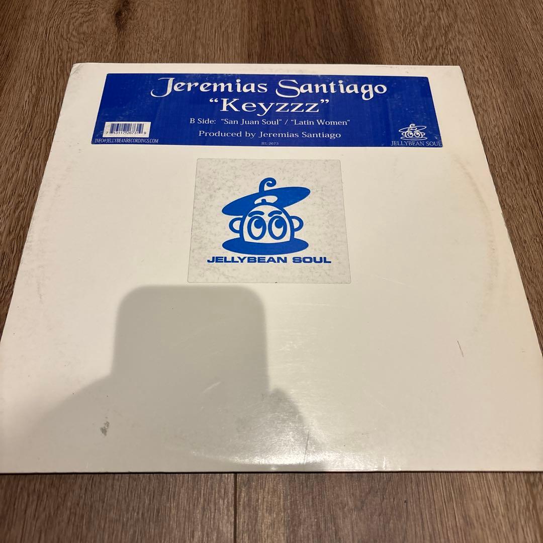 DEEP HOUSE レコード１２枚セット