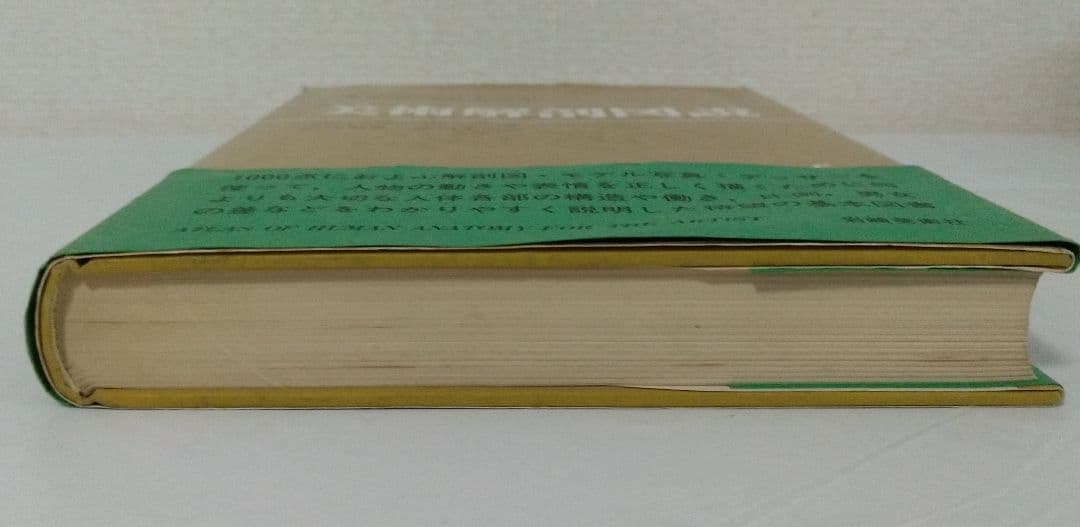 オックスフォード 美術解剖図説 スティーブン・R・ベック 著