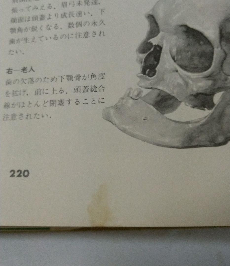 オックスフォード 美術解剖図説 スティーブン・R・ベック 著