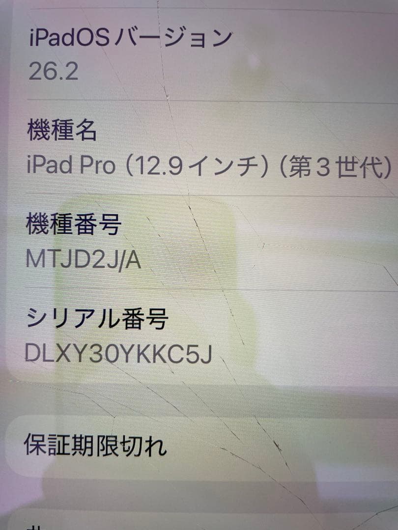 iPad Pro 512ギガ スペースグレー 本体　cellularモデル