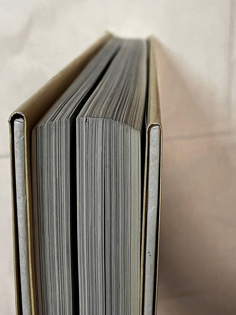 レア 希少 大型書籍 シルヴィ・ギエム 写真集 SYLVIE GUILLEM