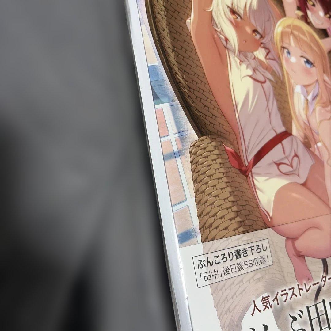 MだSたろう画集 TANAKA NO ATORIE 直筆サイン本　c106