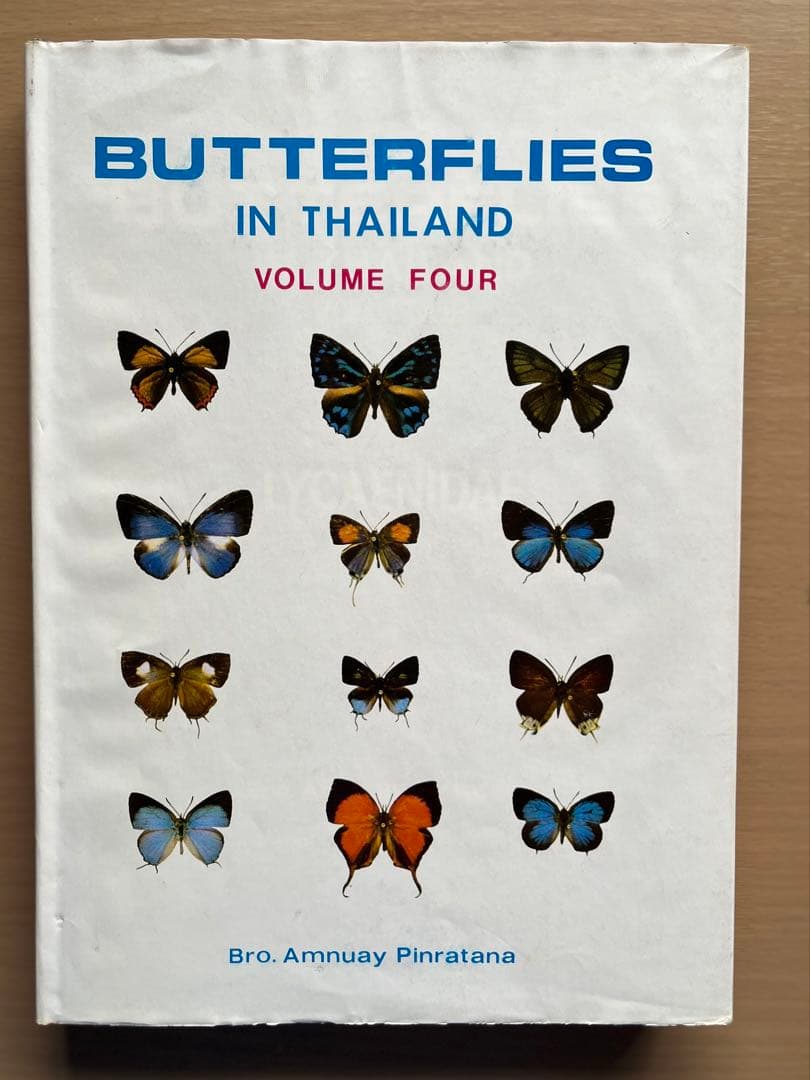 BUTTERFLIES IN THAILAND 全6巻セット