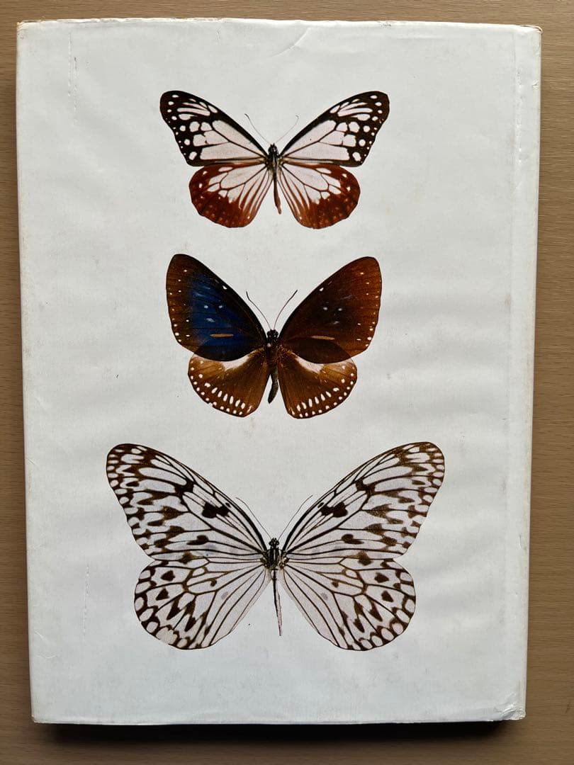 BUTTERFLIES IN THAILAND 全6巻セット