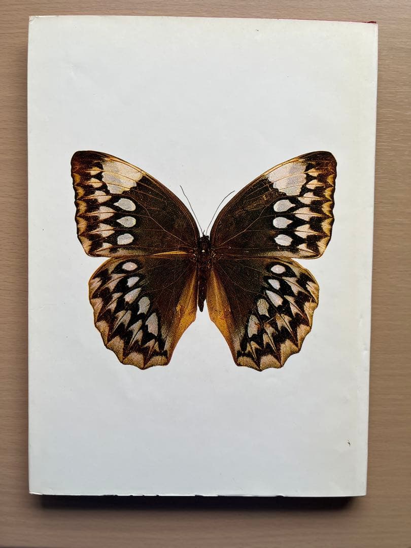 BUTTERFLIES IN THAILAND 全6巻セット
