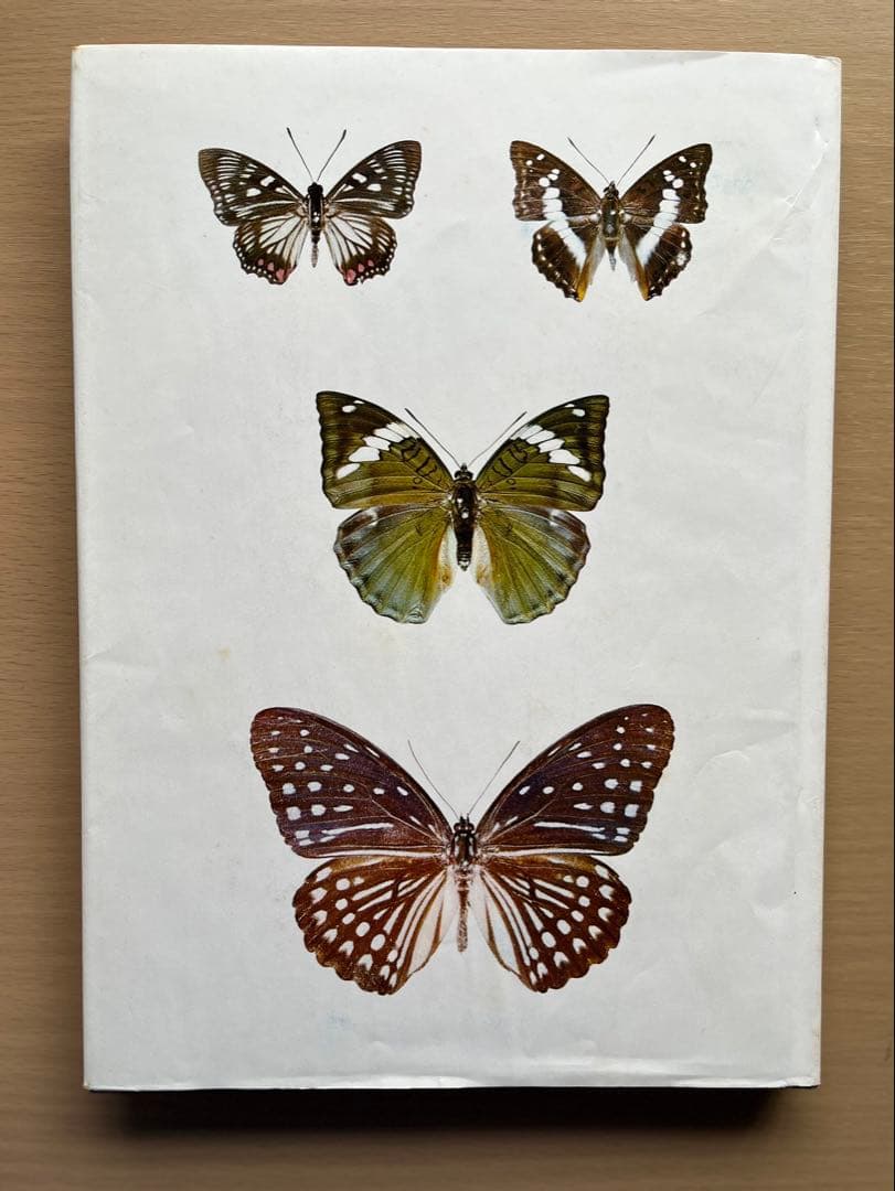 BUTTERFLIES IN THAILAND 全6巻セット