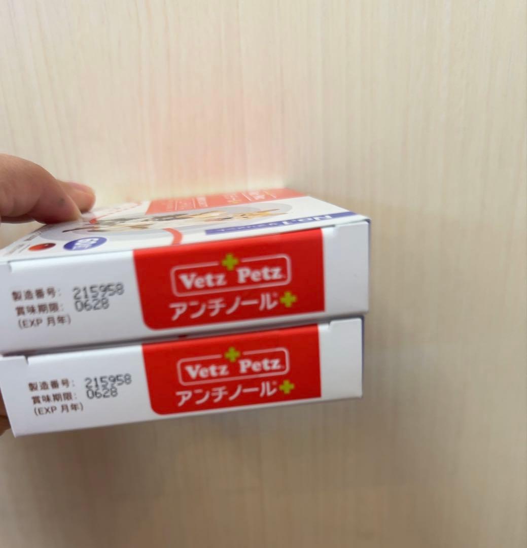 アンチノールプラス60粒×2