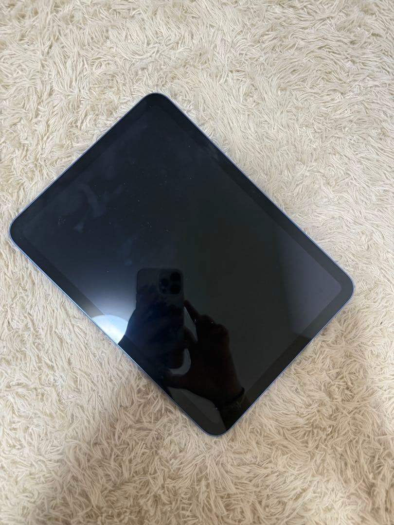 Ipad 10 世代 本体 ブルー 256 GB