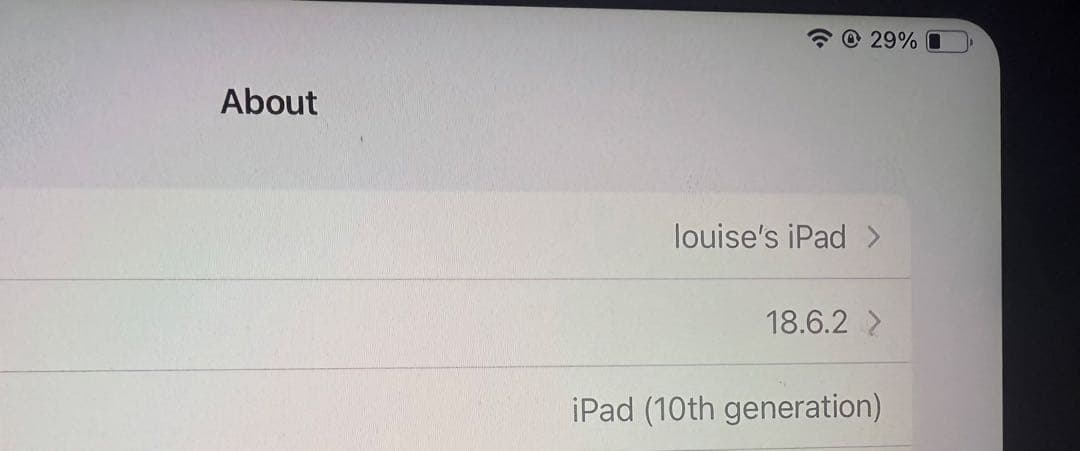 Ipad 10 世代 本体 ブルー 256 GB