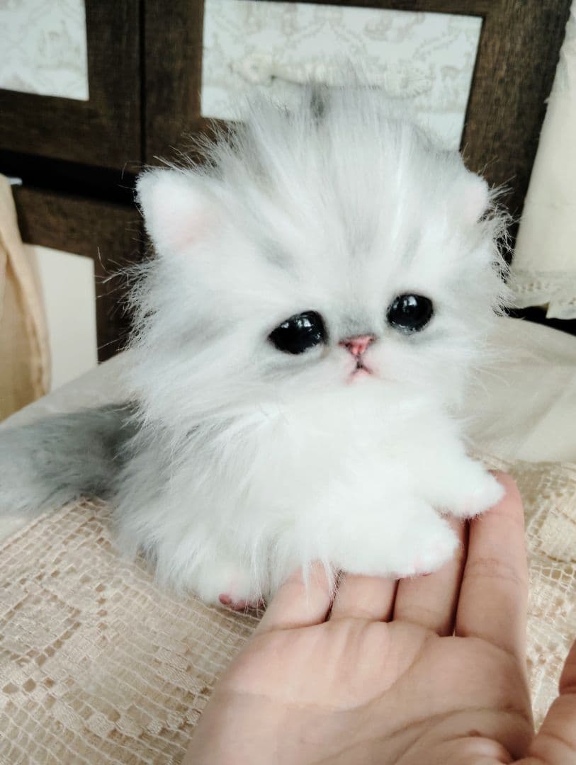 チンチラシルバー♡子猫のノノちゃん♡アートドール♡ぬいぐるみ♡