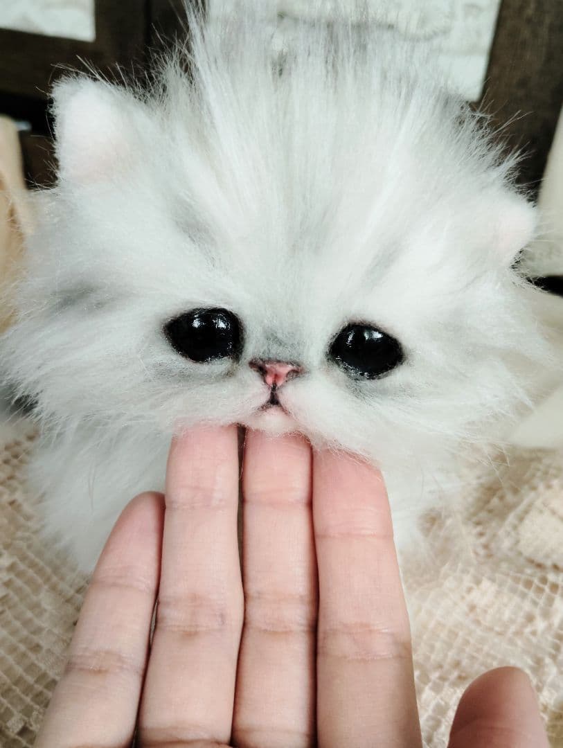 チンチラシルバー♡子猫のノノちゃん♡アートドール♡ぬいぐるみ♡