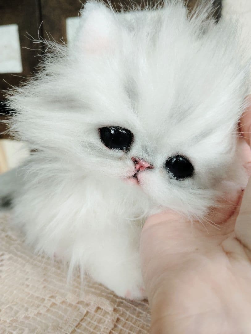 チンチラシルバー♡子猫のノノちゃん♡アートドール♡ぬいぐるみ♡