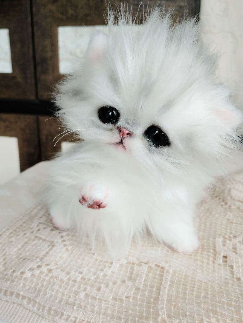 チンチラシルバー♡子猫のノノちゃん♡アートドール♡ぬいぐるみ♡
