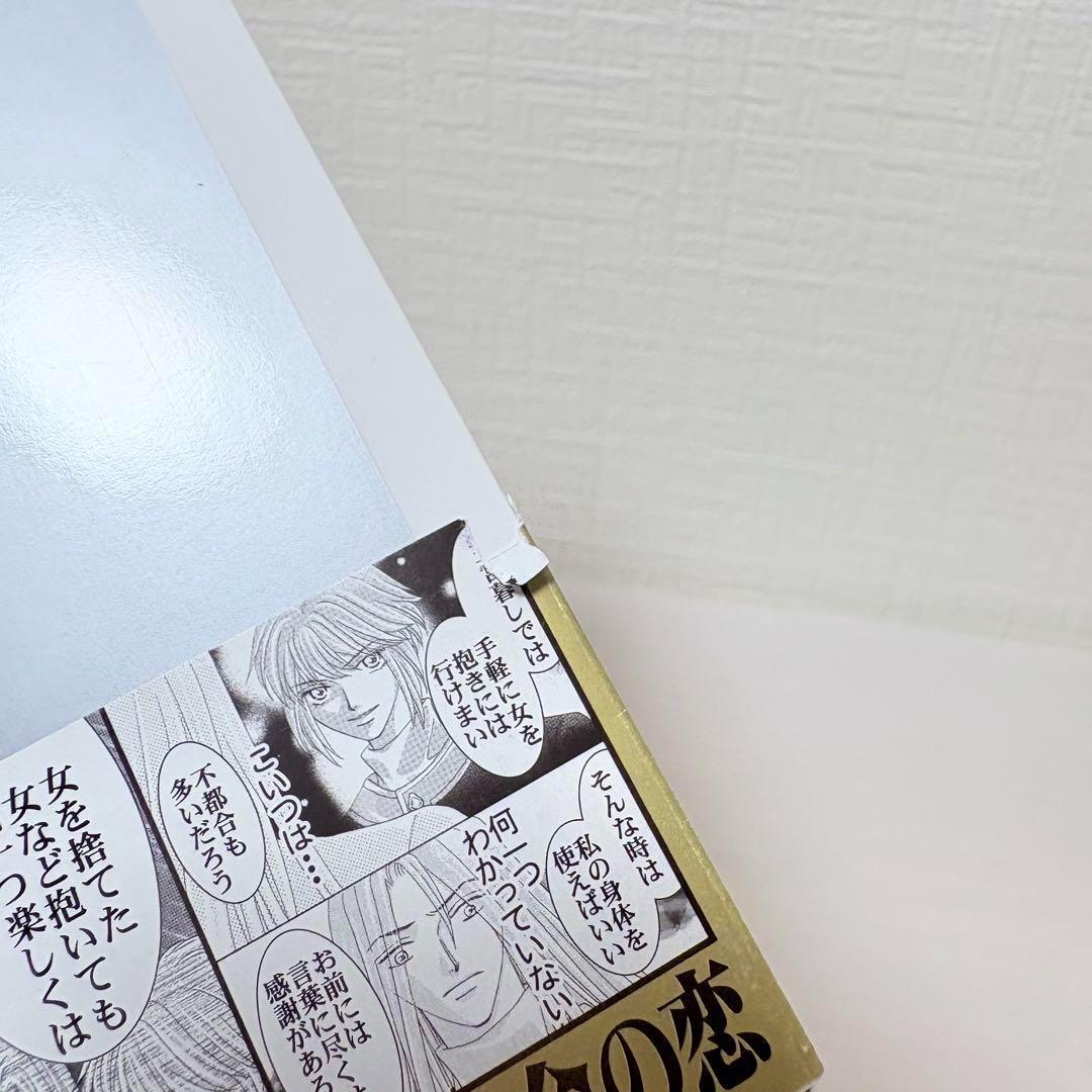 王のいばら＆外伝 全巻セット 全29巻 全巻初版！