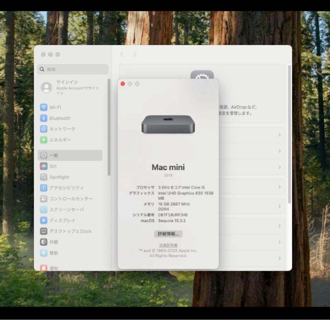 Mac Mini 2018 i5/16GB/500GB 【説明必読】