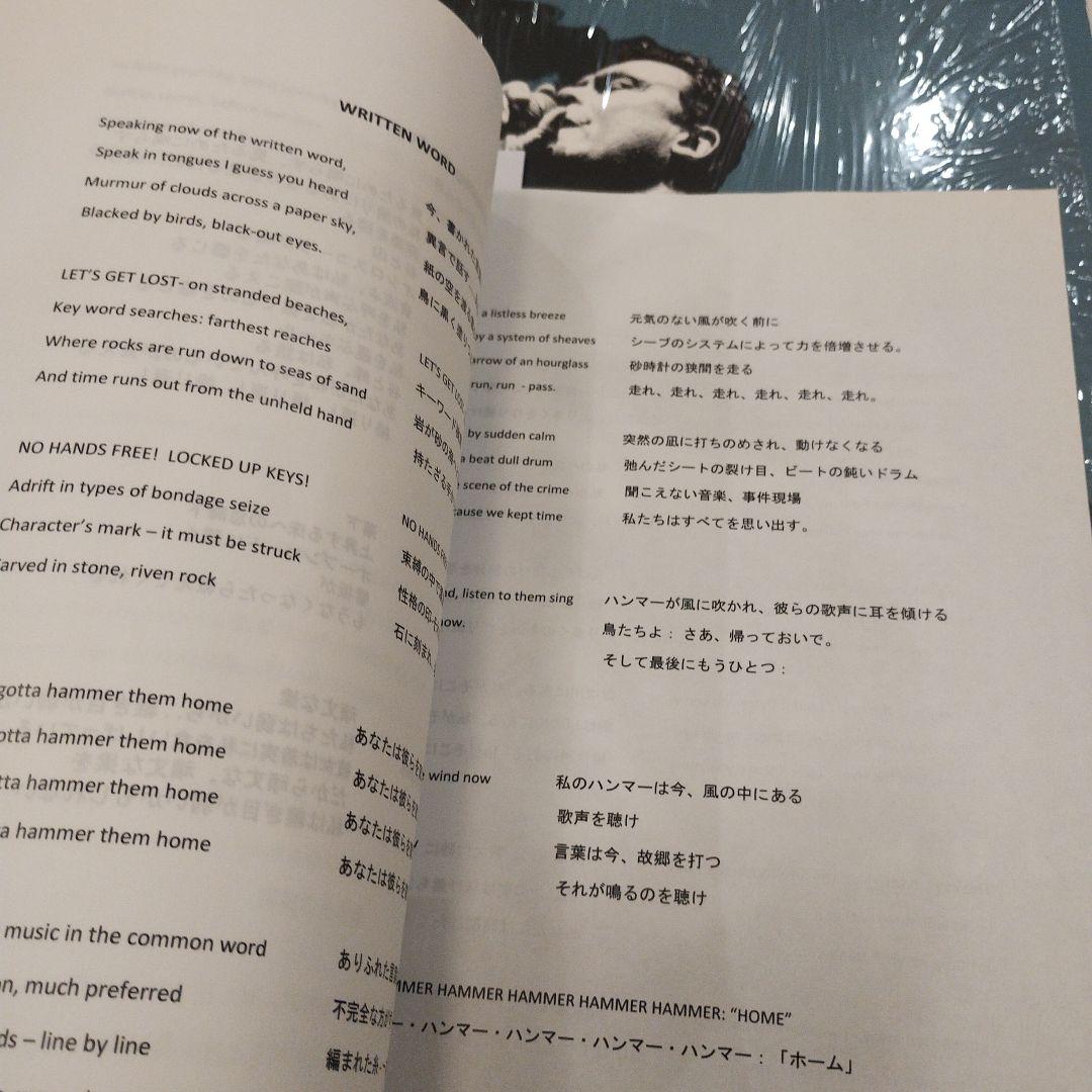 HAMMERED HULLS / CAREENING / DISCHORD名盤