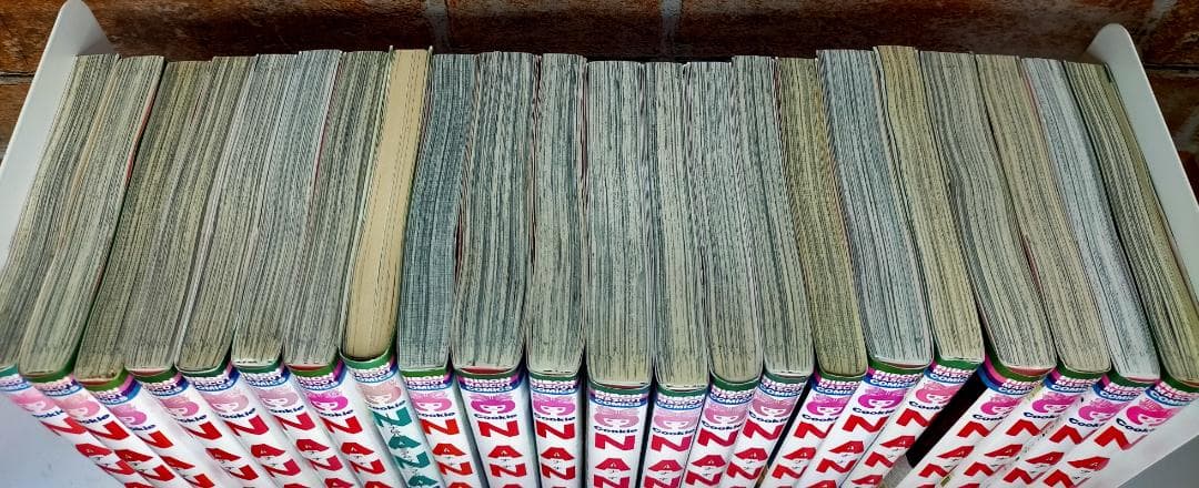 ※最終値下げ【全巻セット】NANA 22冊・ご近所物語7冊　計29冊　矢沢あい