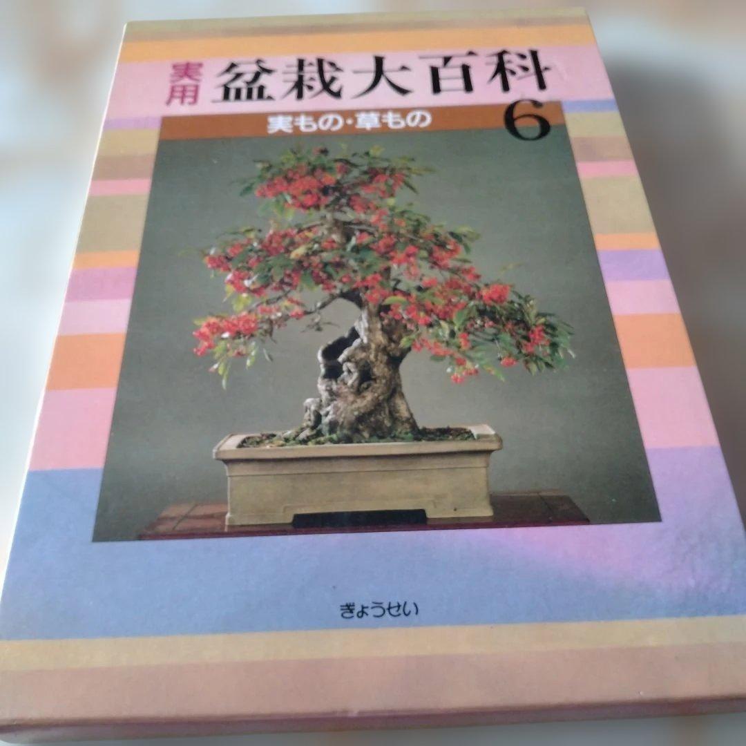 盆栽 大百科 1から6までの6冊セット