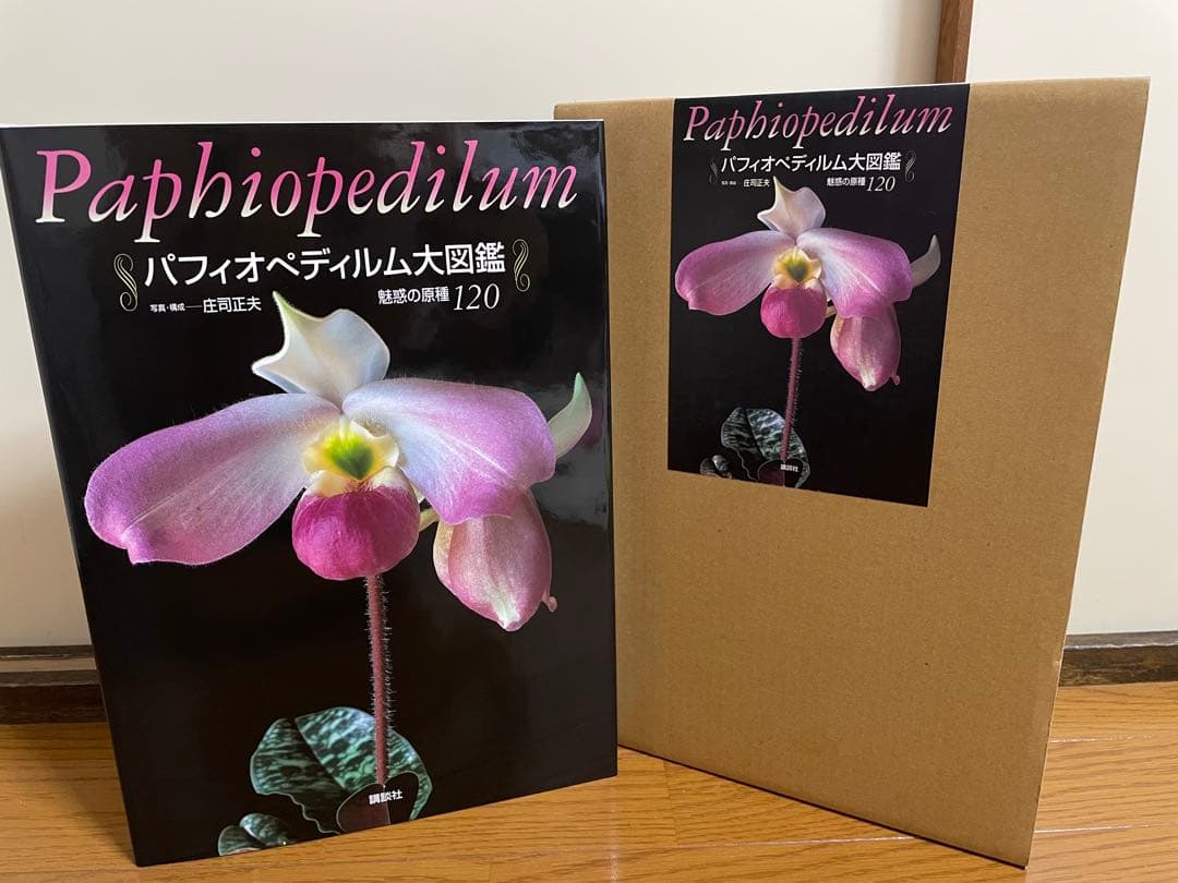 「パフィオペディルム大図鑑 魅惑の原種120」