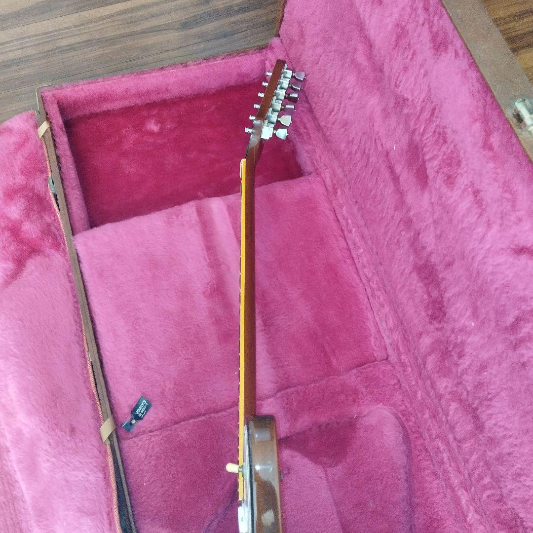 超希少！　Gibson firebird ギブソンファイヤーバード