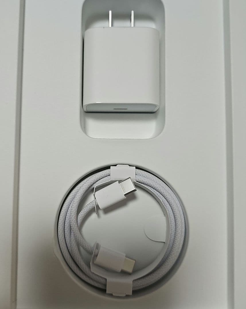 Apple iPad 第10世代 64GB Wi-Fi　本体