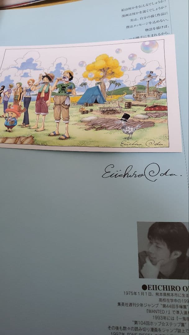 尾田栄一郎画集(イラスト集) COLORWALK 全巻セット10冊 +12冊