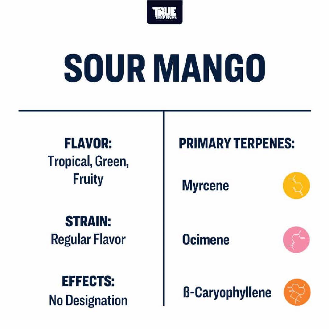 【10ml】Sour Mango／True Terpenes　テルペン　CBD