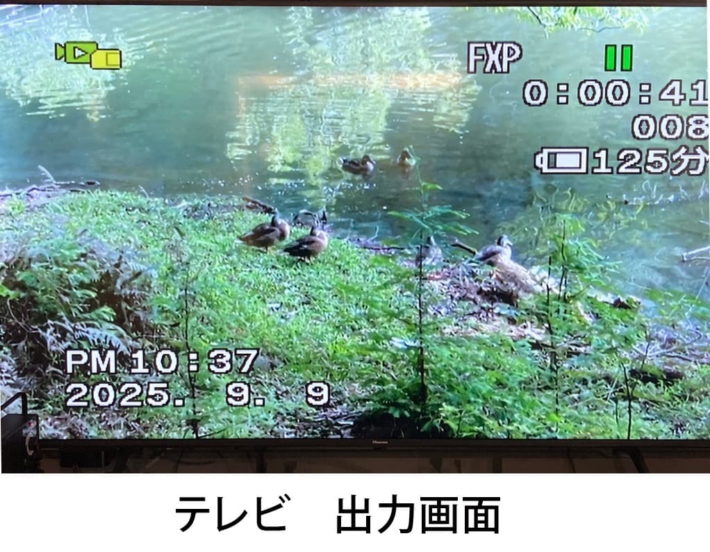CANON IVIS HF100 ビデオカメラ 2008年製