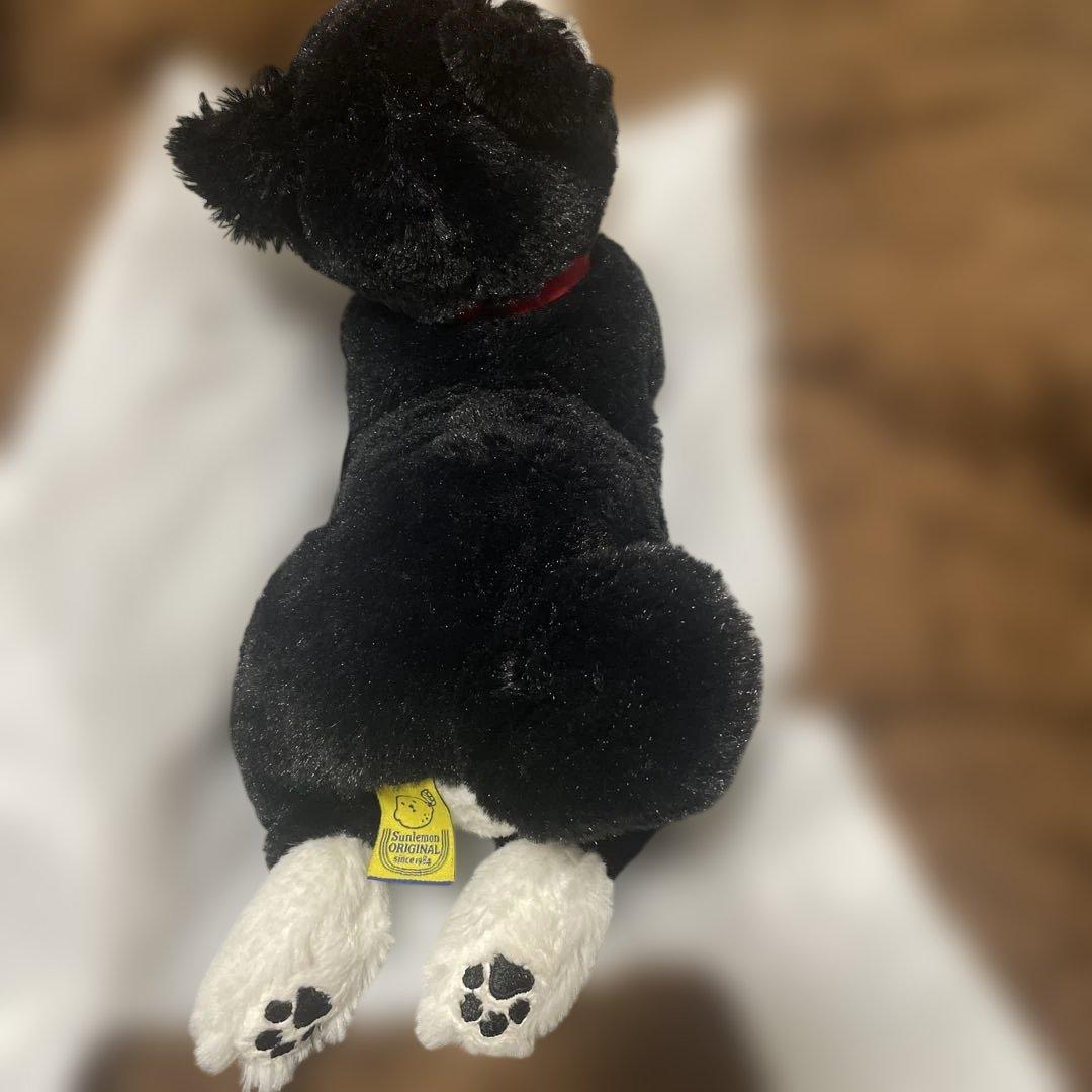 サンレモン　柴犬　ぬいぐるみ