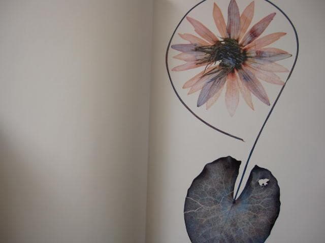 Nick Knight　Flora