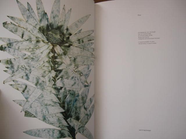 Nick Knight　Flora