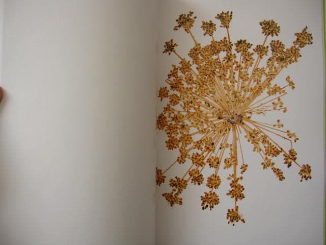 Nick Knight　Flora