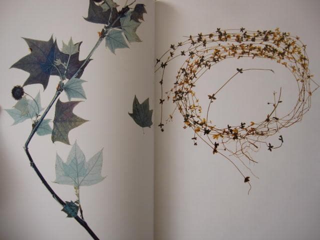 Nick Knight　Flora