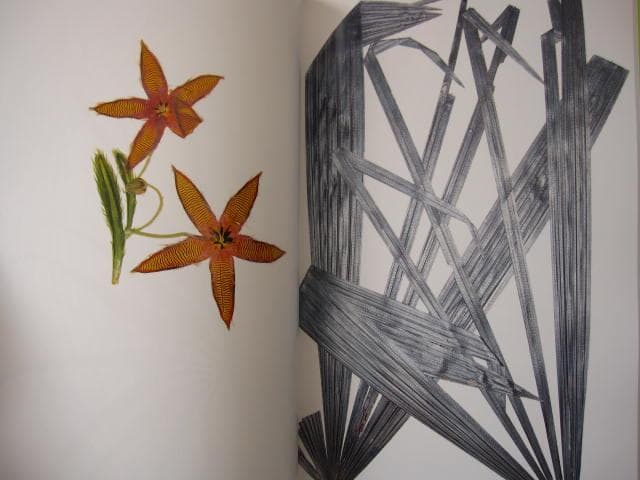 Nick Knight　Flora