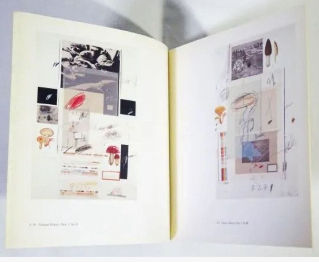 Cy Twombly 絶版作品集　センチメンタリズムの地誌