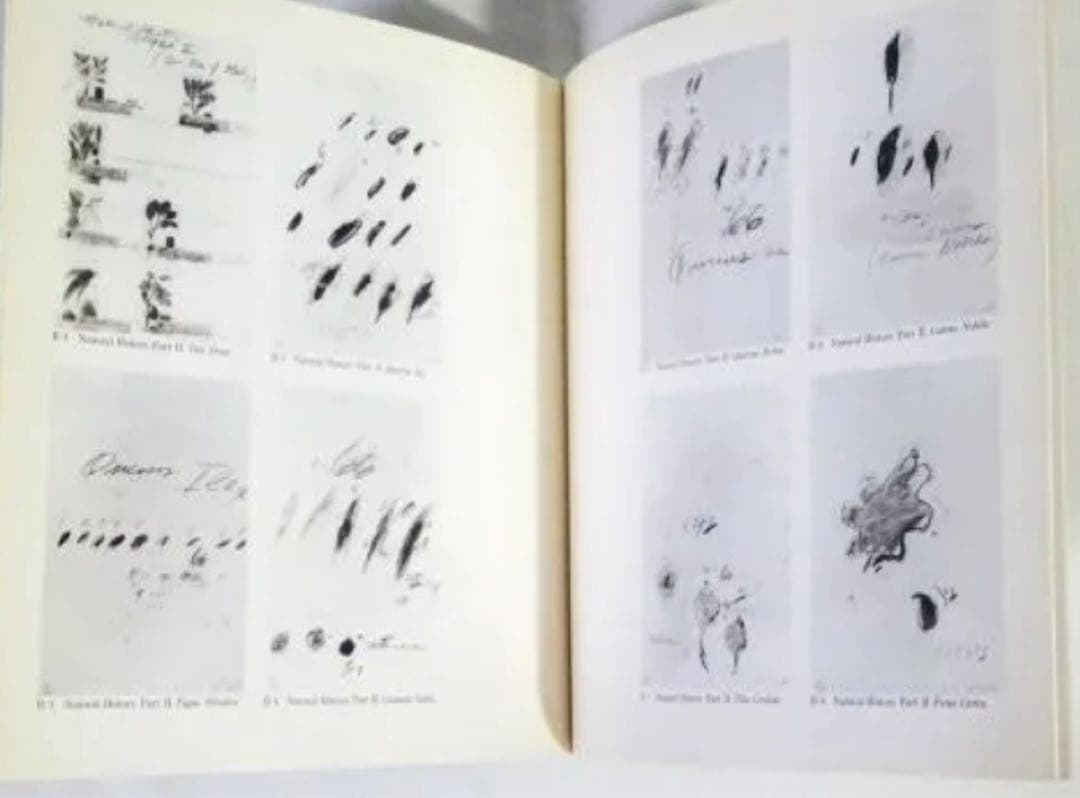 Cy Twombly 絶版作品集　センチメンタリズムの地誌