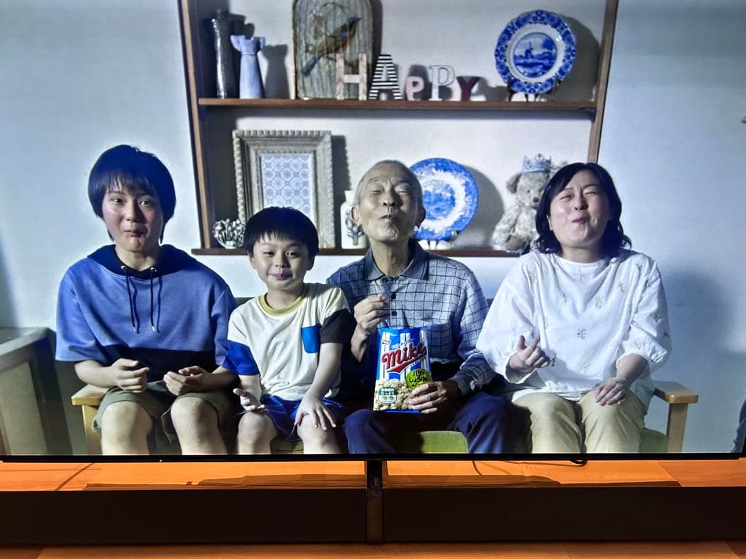 Panasonic TH-65EZ1000 有機ELテレビ 65インチ