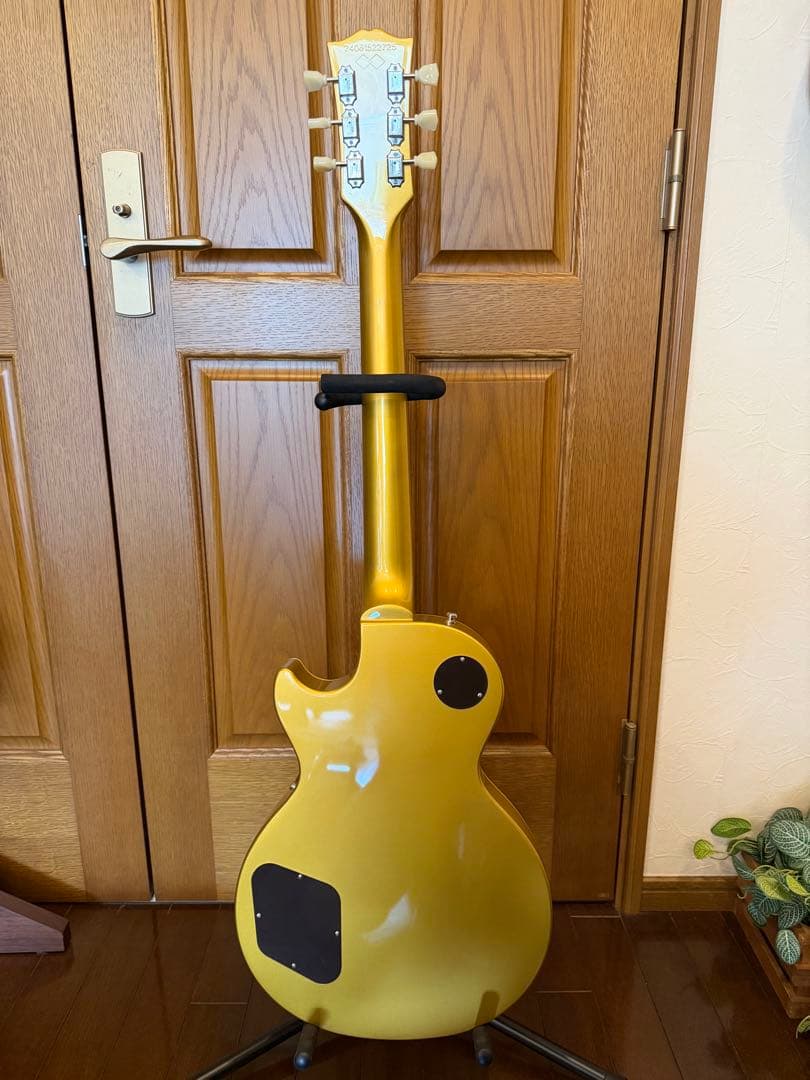 ギター Tak Matsumoto 1955 Les Paul Standard