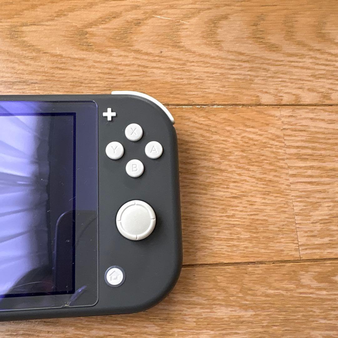 Nintendo Switch Lite グレー　充電器セット