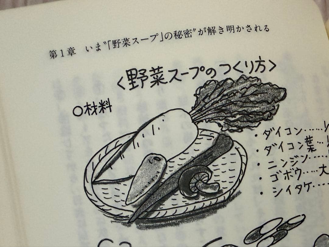 元祖 野菜スープ強健法｜立石和｜ガン細胞も3日で消えた⁈｜絶版・希少