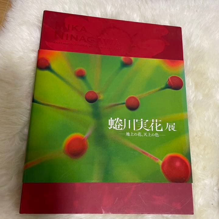 【美品】　蜷川実花　作品集　写真集　3冊セット