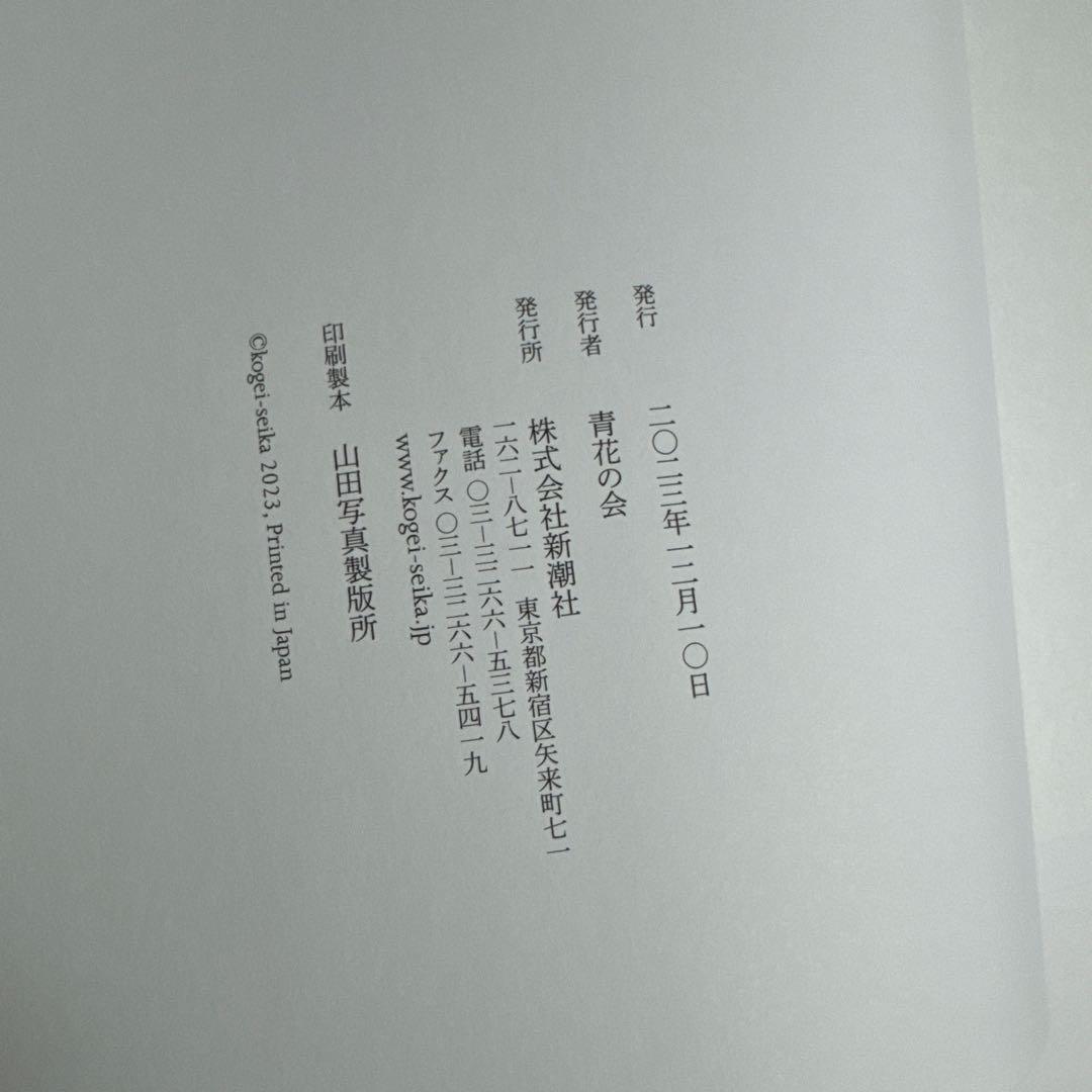 工芸青花 19