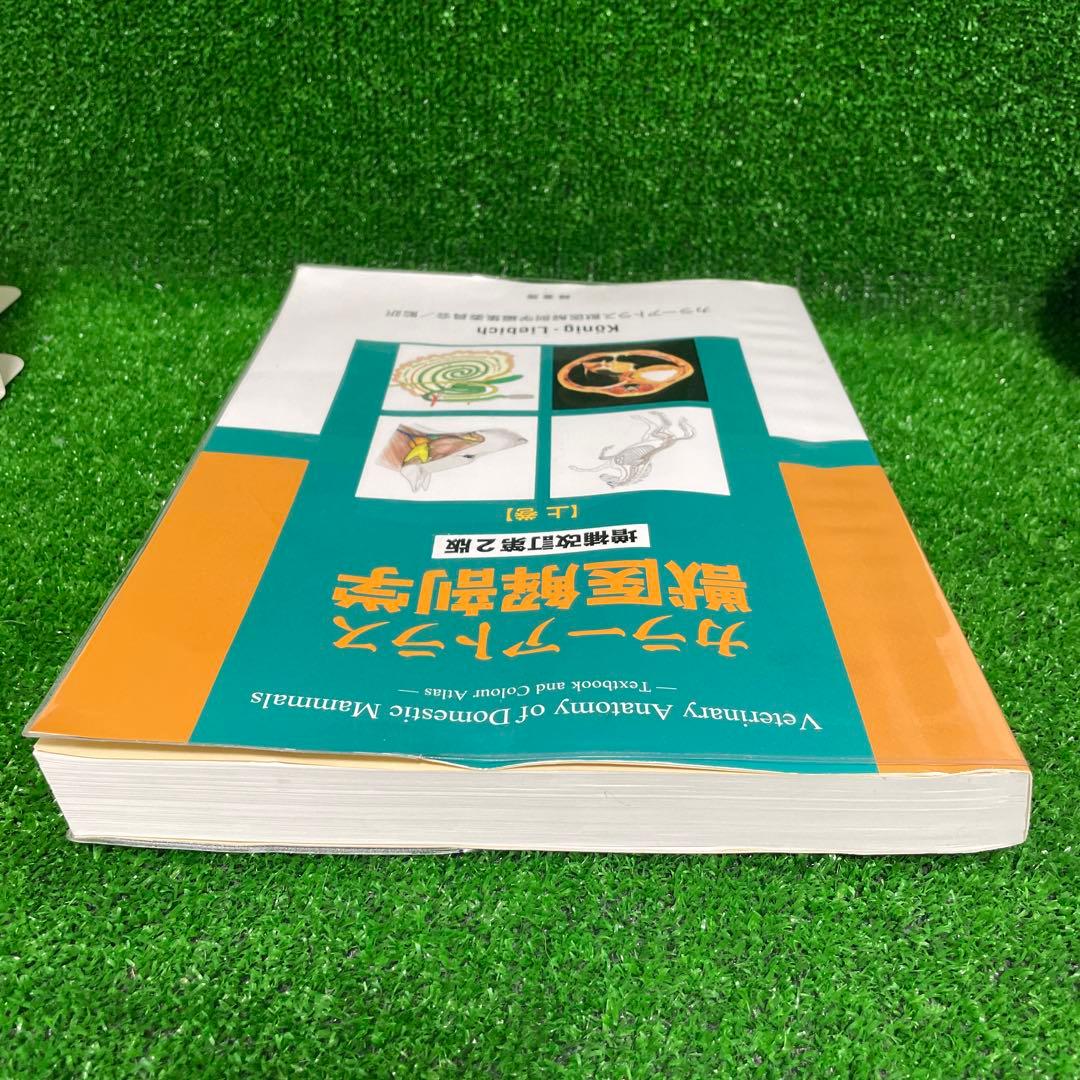 カラーアトラス獣医解剖学 上巻　増補改訂第2版