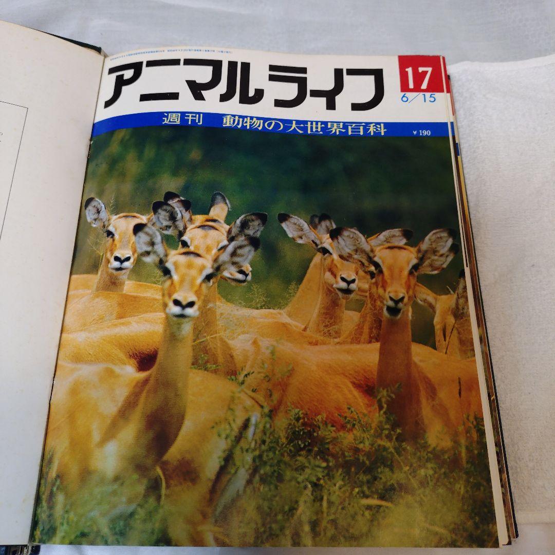動物の大世界百科 animal life 全13巻