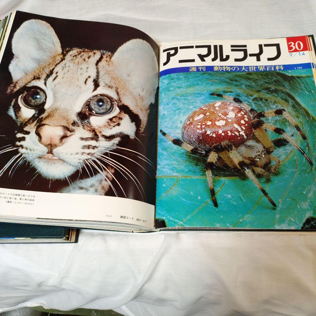 動物の大世界百科 animal life 全13巻