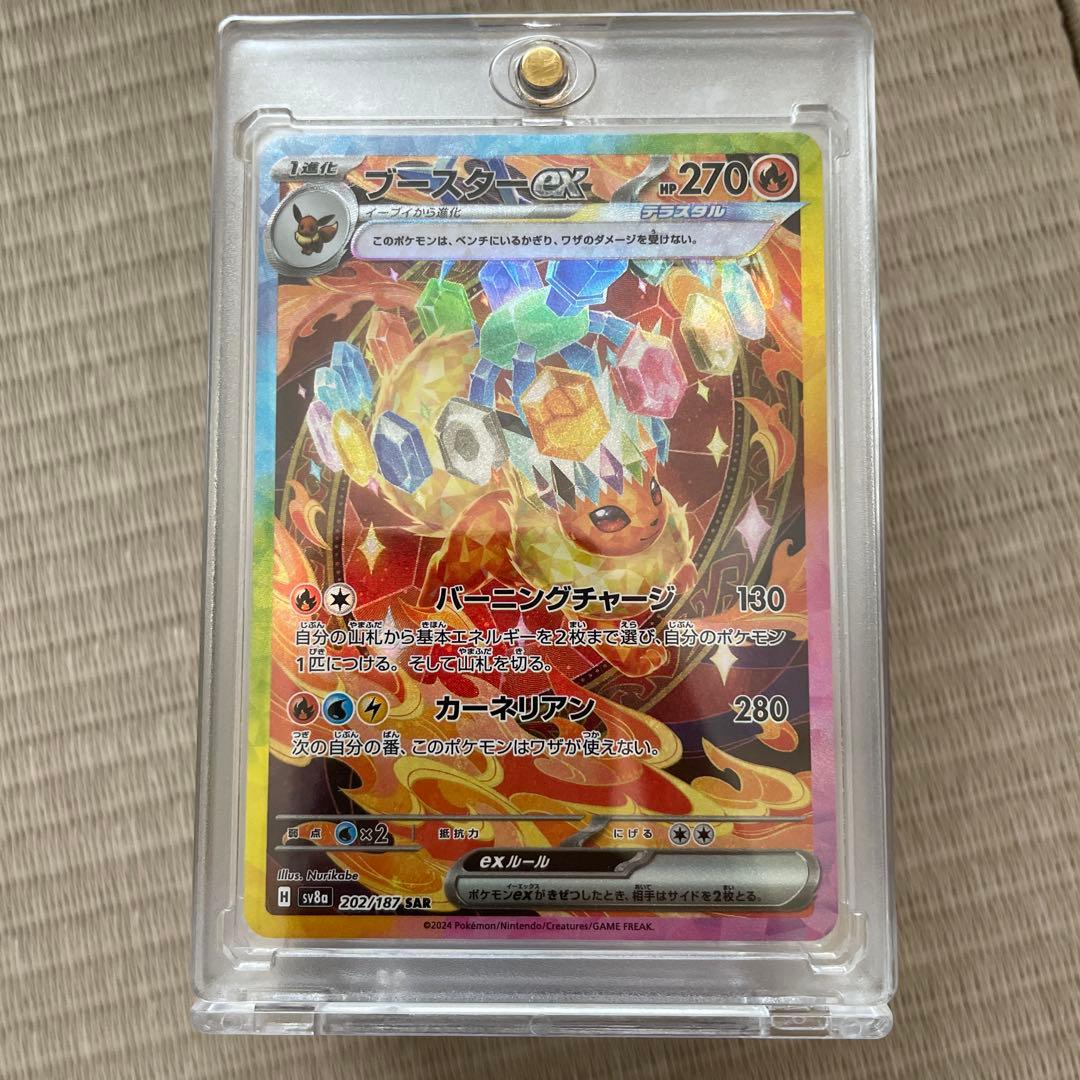 ブイズセット　sar　極美品　テラスタルフェス